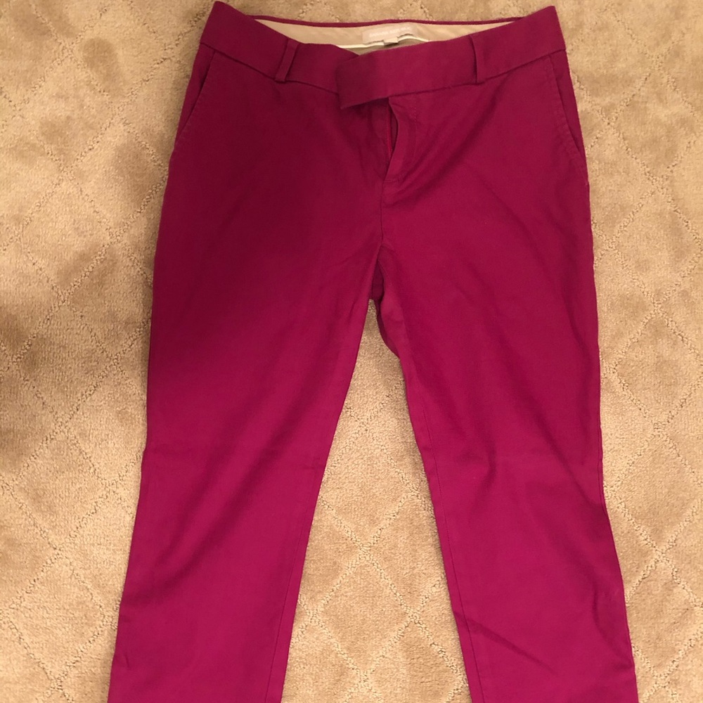 Banana Republic Purple Womens Dress Pants